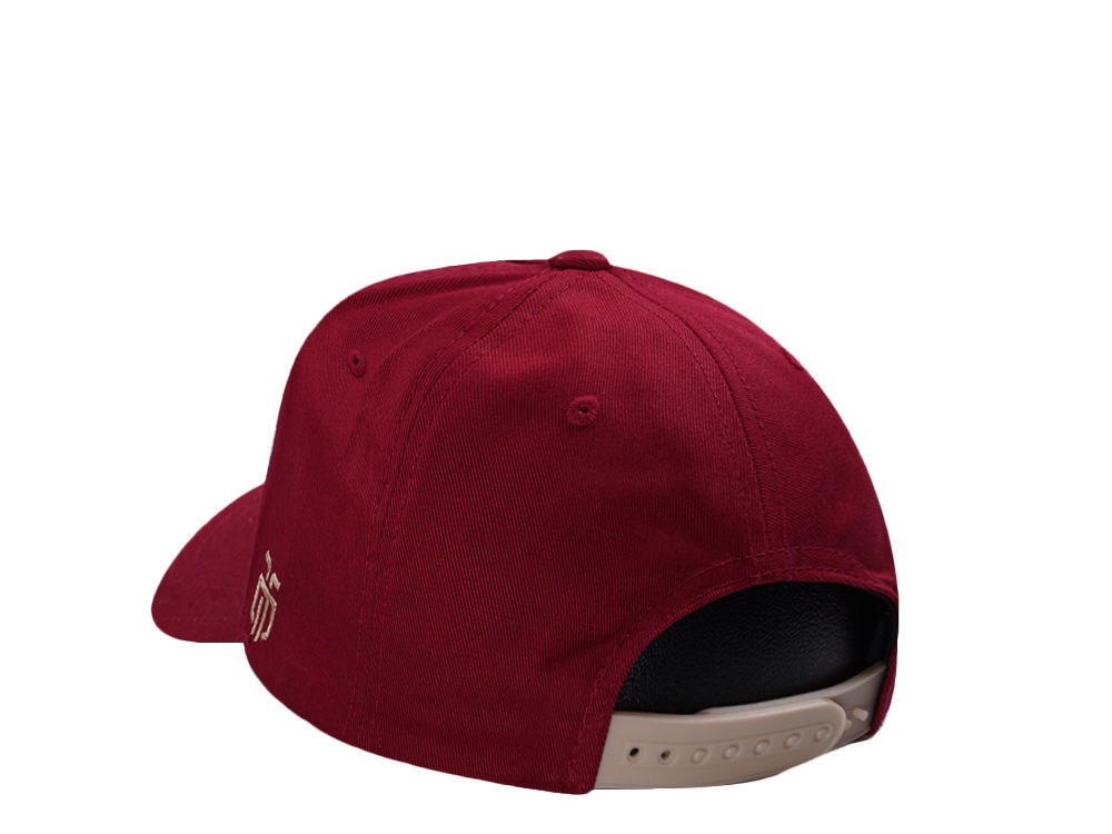 parallel_union_grazer_ak_aframe_cap_2.webp