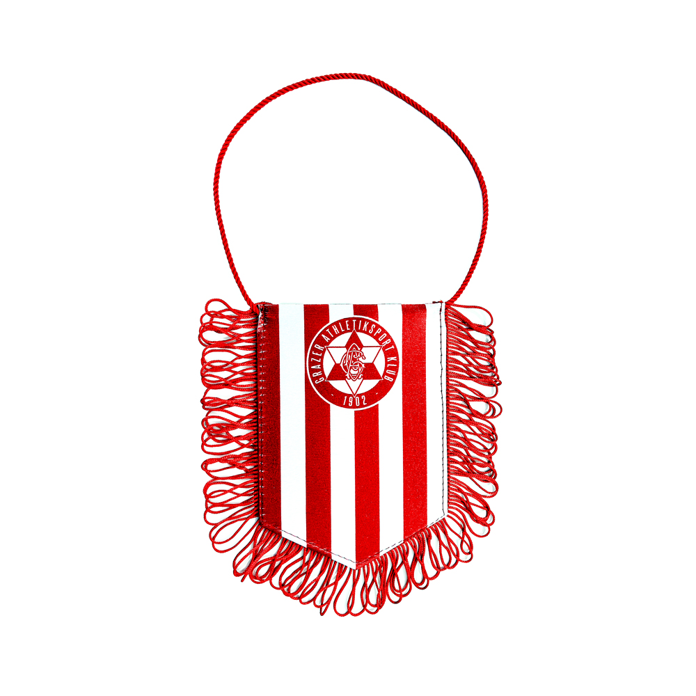 Kleiner Wimpel "Logo"