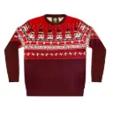 Weihnachtspullover "Stadtklub"