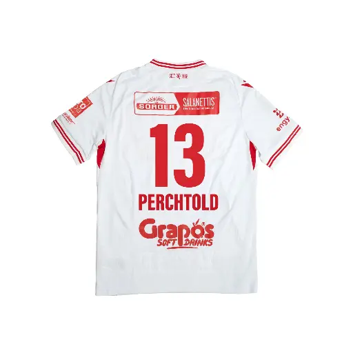 Away Match-Issued Perchtold